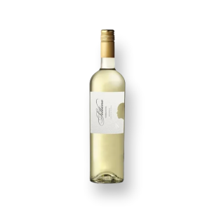 Sottano Torrontes *750ml